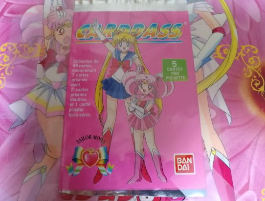 Carddass Sailor Moon françaises